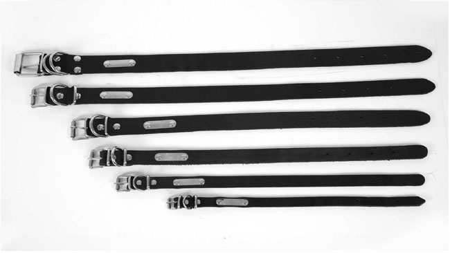 ΛΑΙΜΟΔΕΤΗΣ