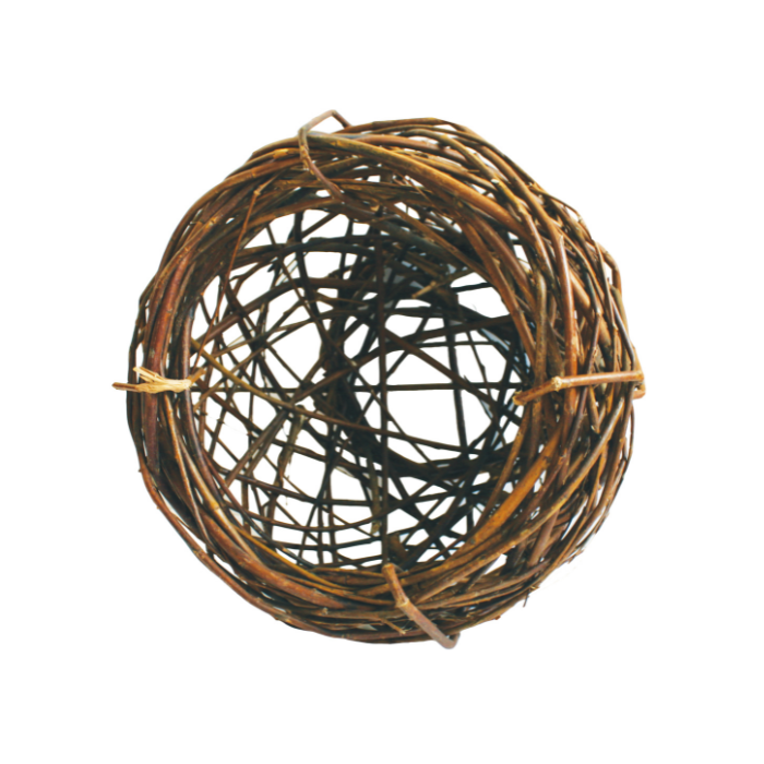 31103 NATURE FIRST - Image 1