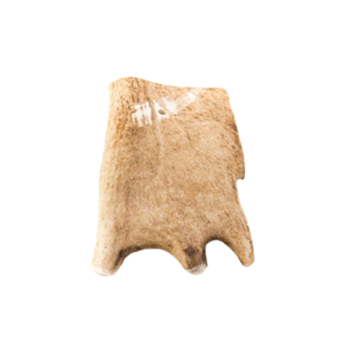 CE006 CERVUS ELAPHUS - Image 1