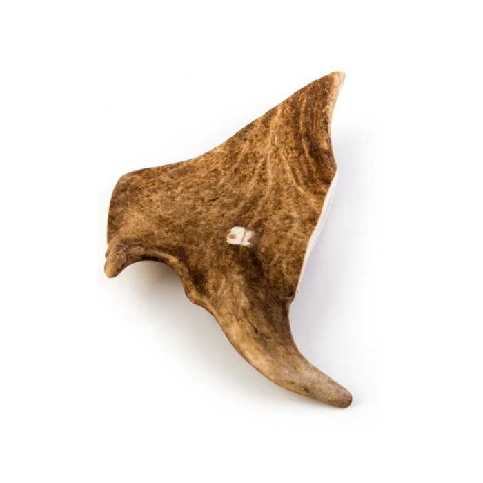 CE007 CERVUS ELAPHUS - Image 1