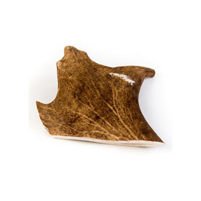 CE008 CERVUS ELAPHUS - Image 1