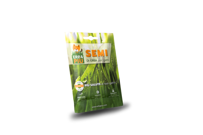 EP 100 ERBA PIU - Image 1