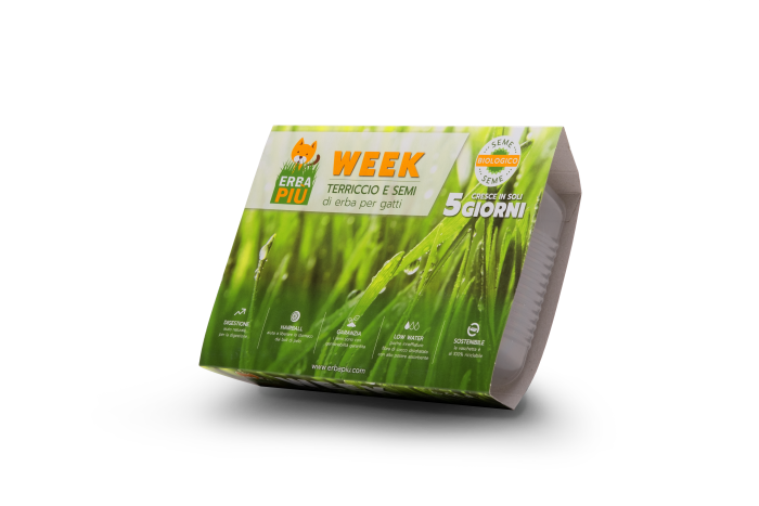 EP 104 ERBA PIU - Image 1