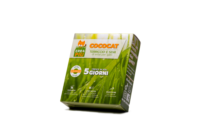 EP106 ERBA PIU - Image 1