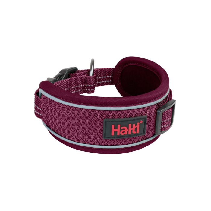 47308ZG147309ZG147310ZG147311ZG1 HALTI ANATOMY - Image 1